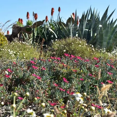 Finca Abador Vakantiehuis Granadilla De Abona