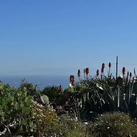 Finca Abador Vakantiehuis Granadilla De Abona